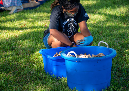 DSC_5588 Oyster Restoration